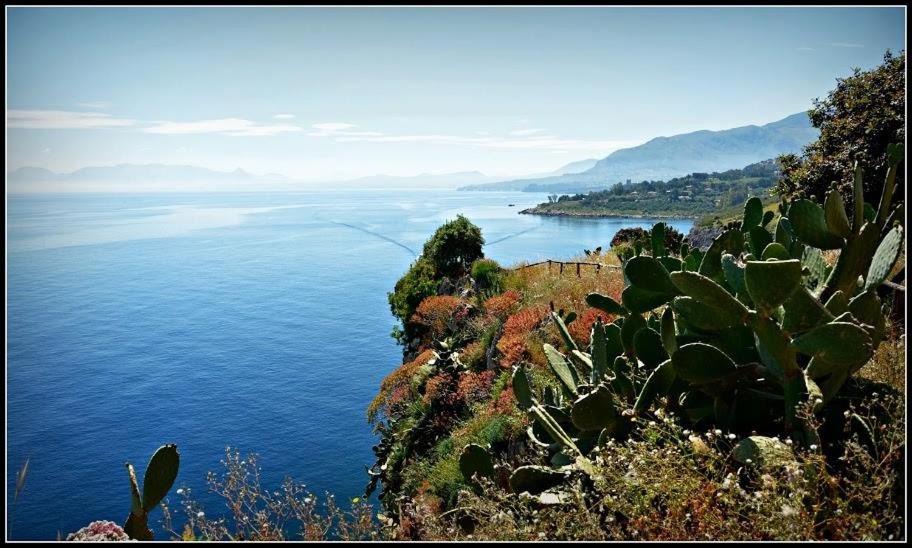 Photo of Others in Scopello