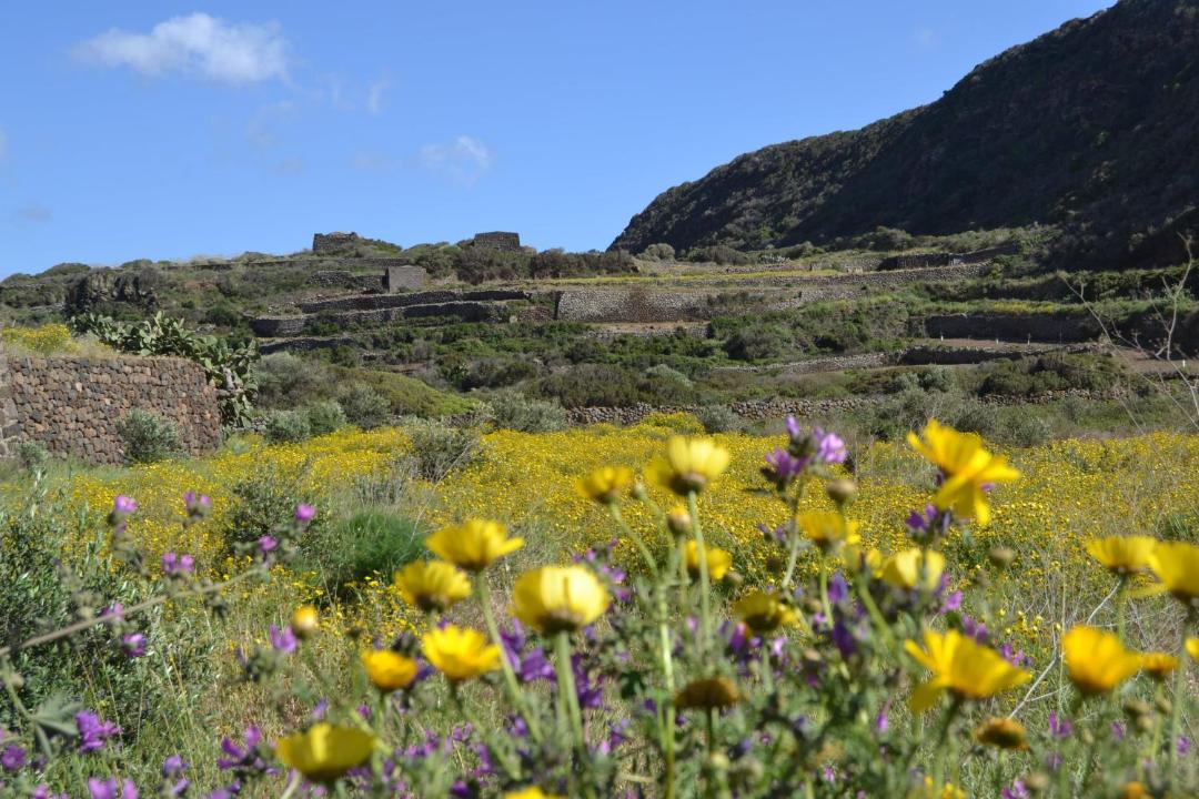 Photo of Others in Pantelleria