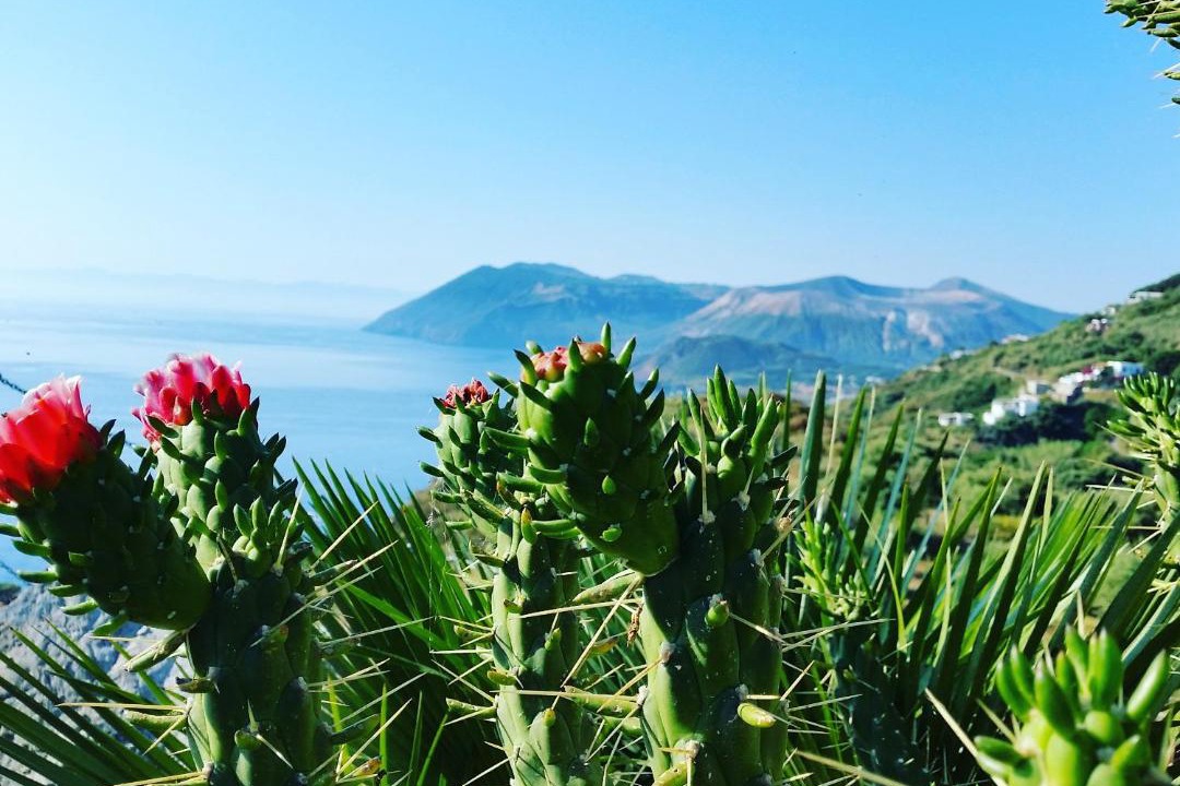 Photo of Others in Lipari