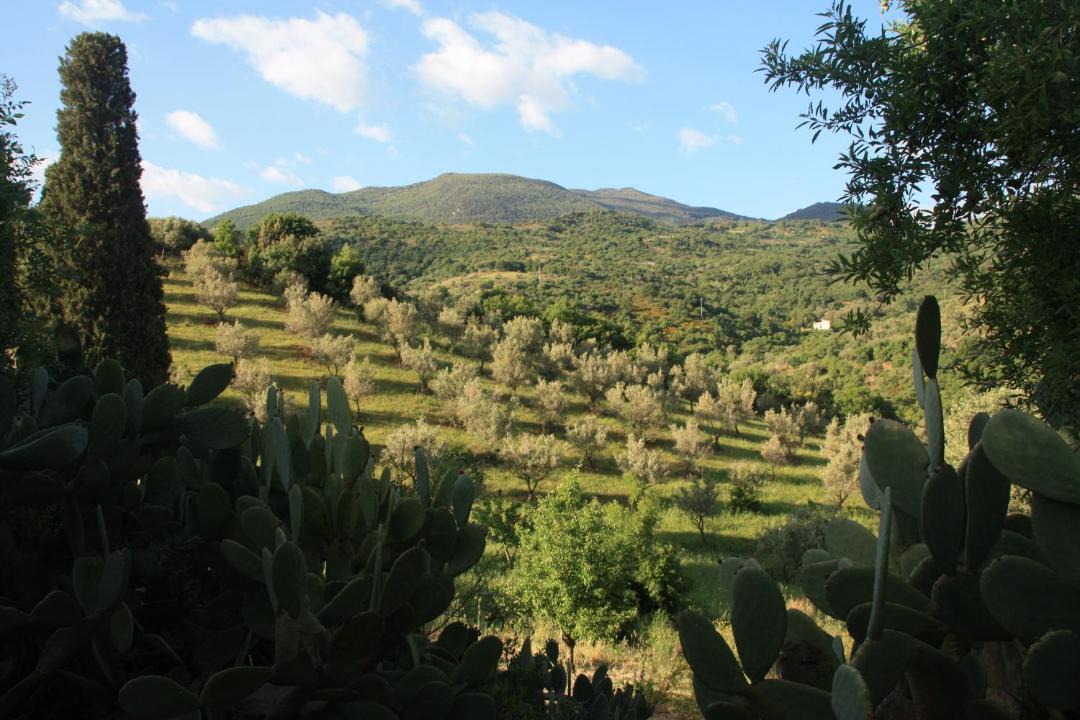 Photo of Others in Castelbuono