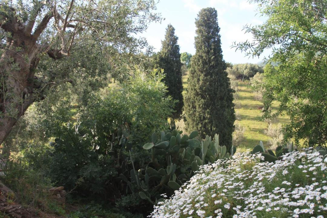 Photo of Others in Castelbuono