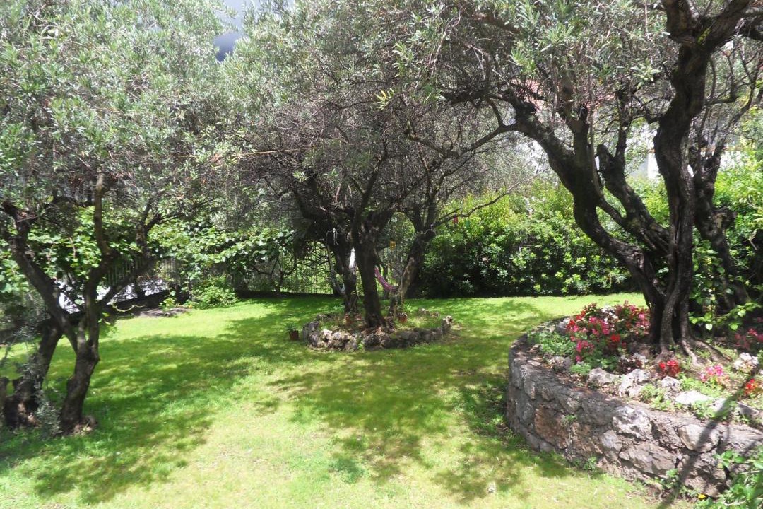 Photo of Others in Maratea