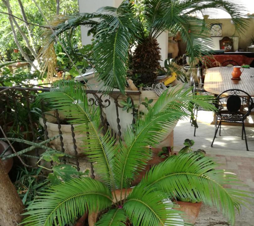 Photo of Patio Balcony in Sferracavallo