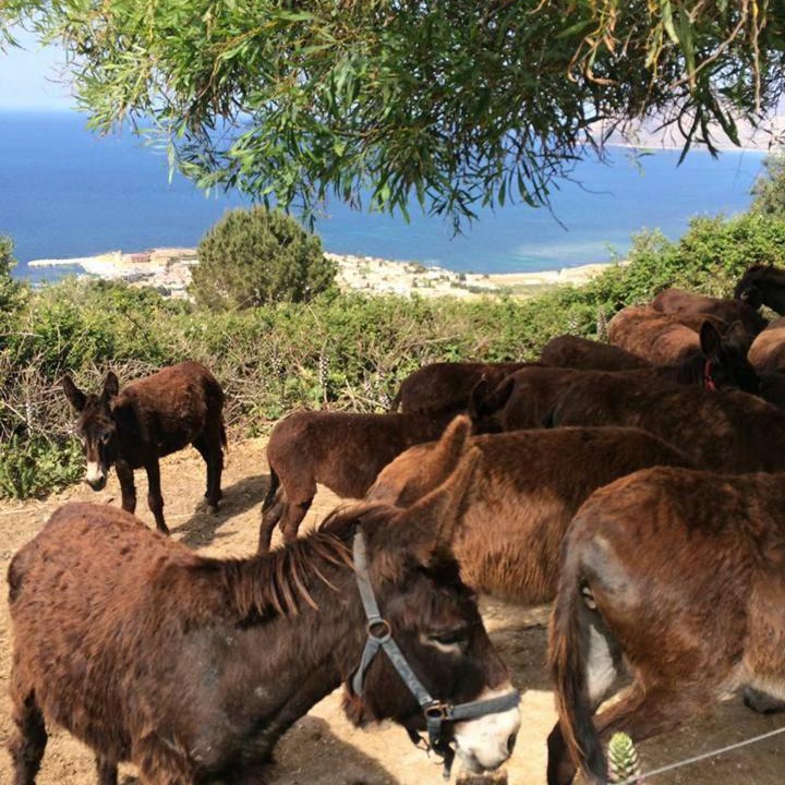 Photo of Others in Tonnara di Bonagia