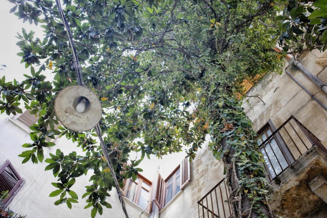 Photo of Others in Alcamo Historic Center