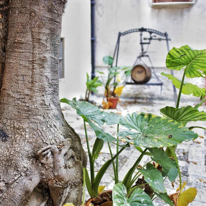 Photo of Others in Alcamo Historic Center