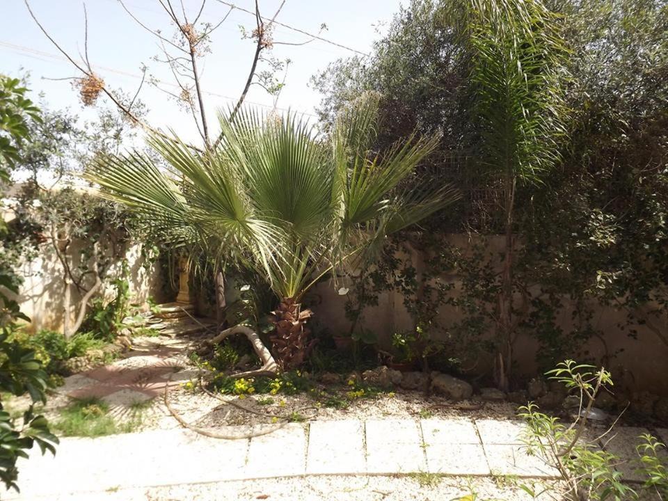 Photo of Outdoor in Mazara del Vallo