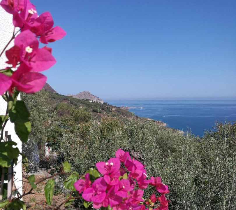 Photo of Outdoor in Cefalu