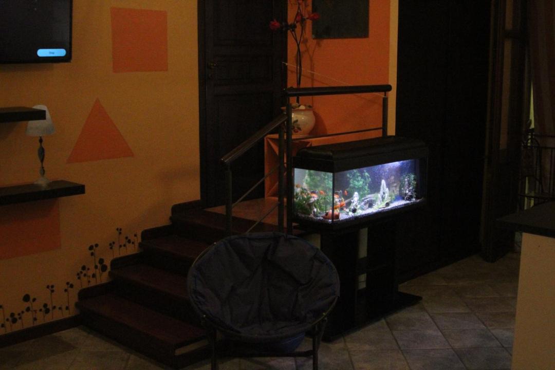 Photo of Livingroom in Castellammare del Golfo