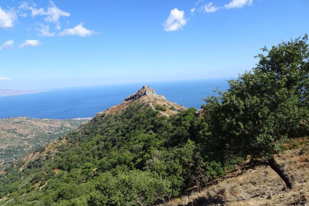 Photo of Outdoor in Fiumedinisi