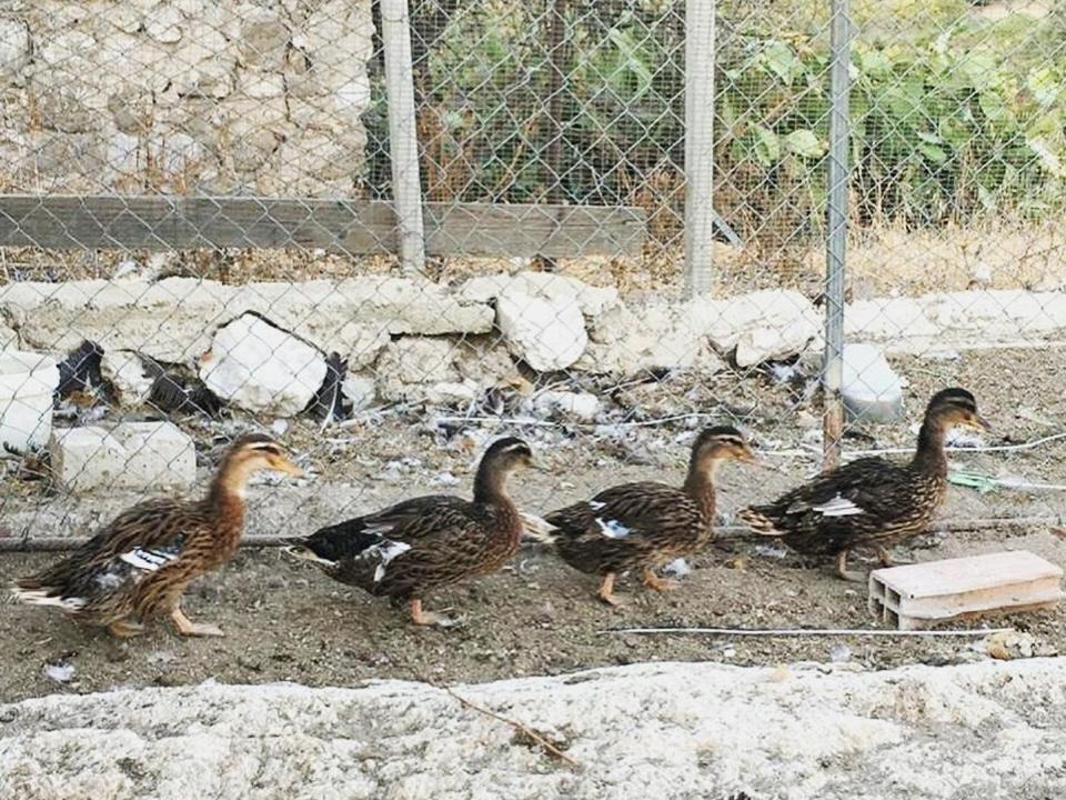 Photo of Others in Porto Empedocle