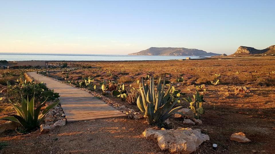 Photo of Others in Favignana