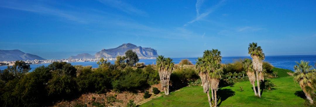 Photo of Others in Palermo