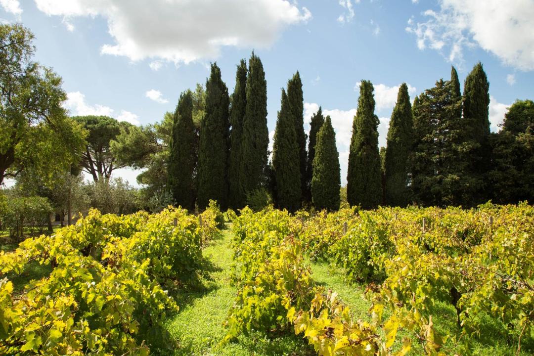 Photo of Outdoor in Salemi