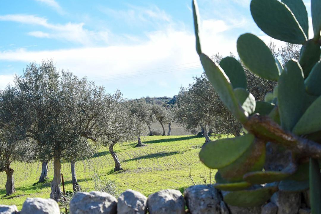 Photo of Others in Ragusa