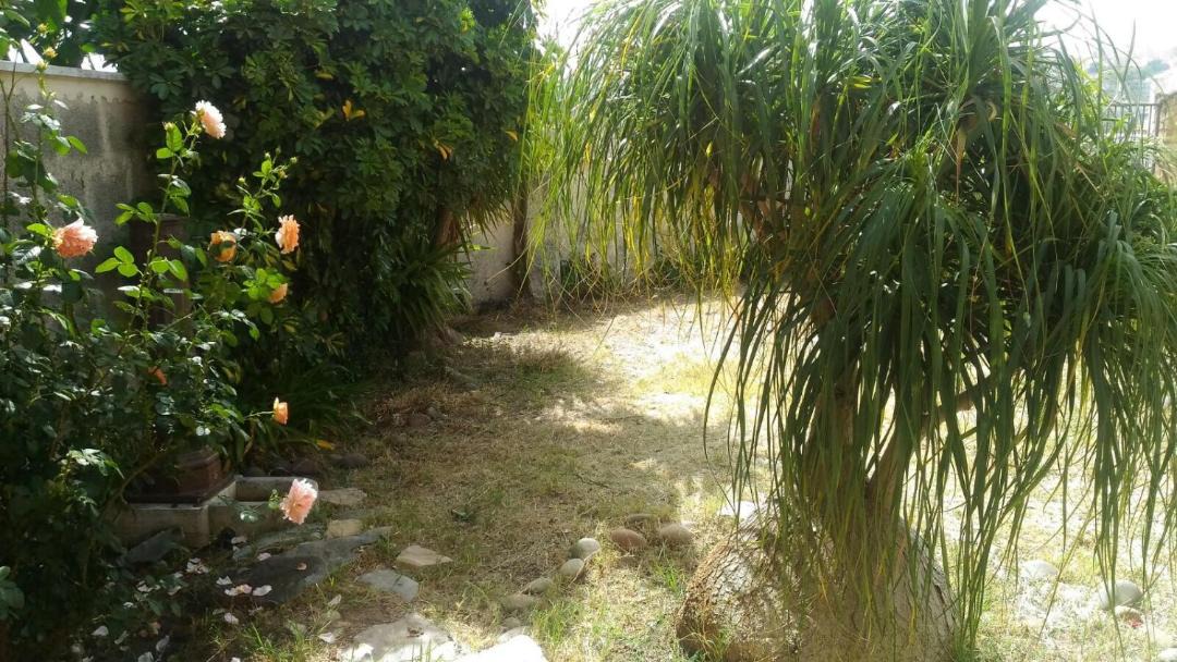Photo of Outdoor in Alcamo