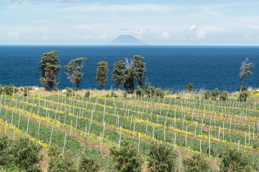 Photo of Others in Province of Messina