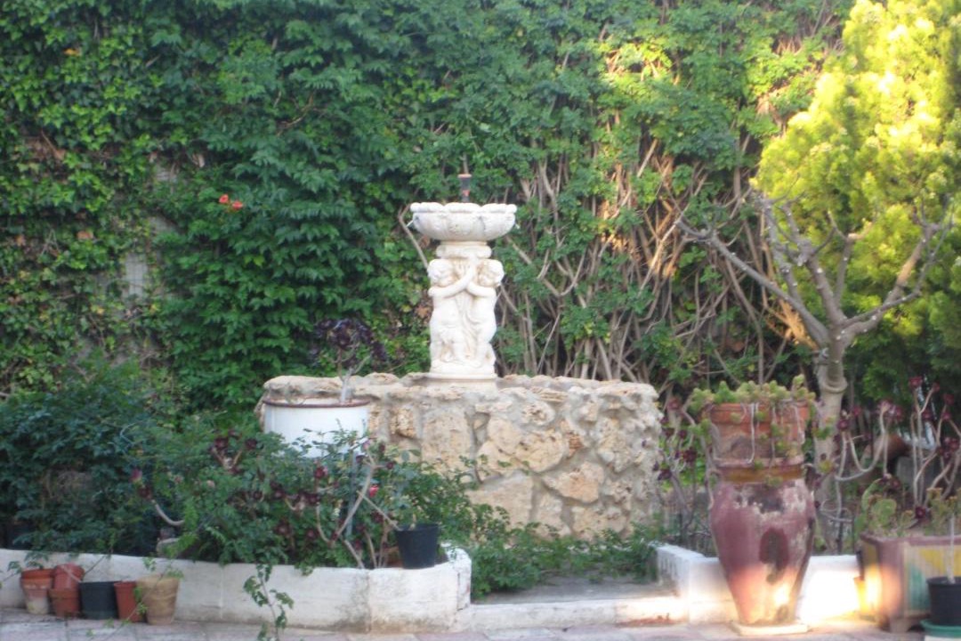 Photo of Others in Alcamo Marina