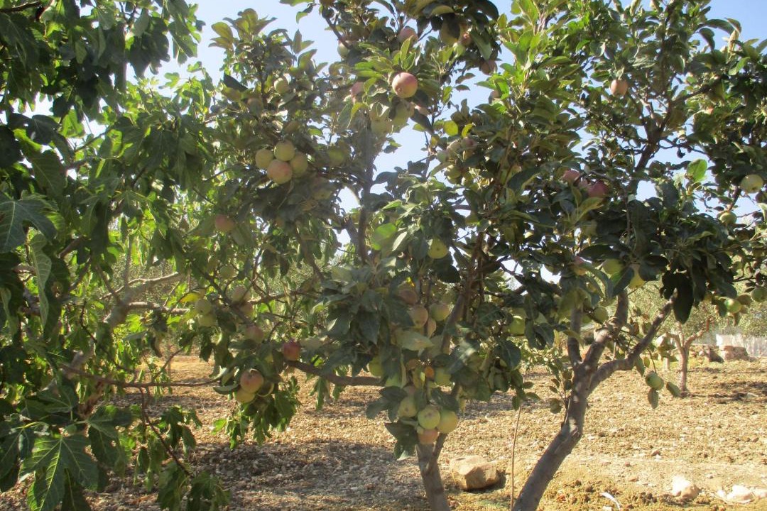 Photo of Outdoor in Buseto Palizzolo