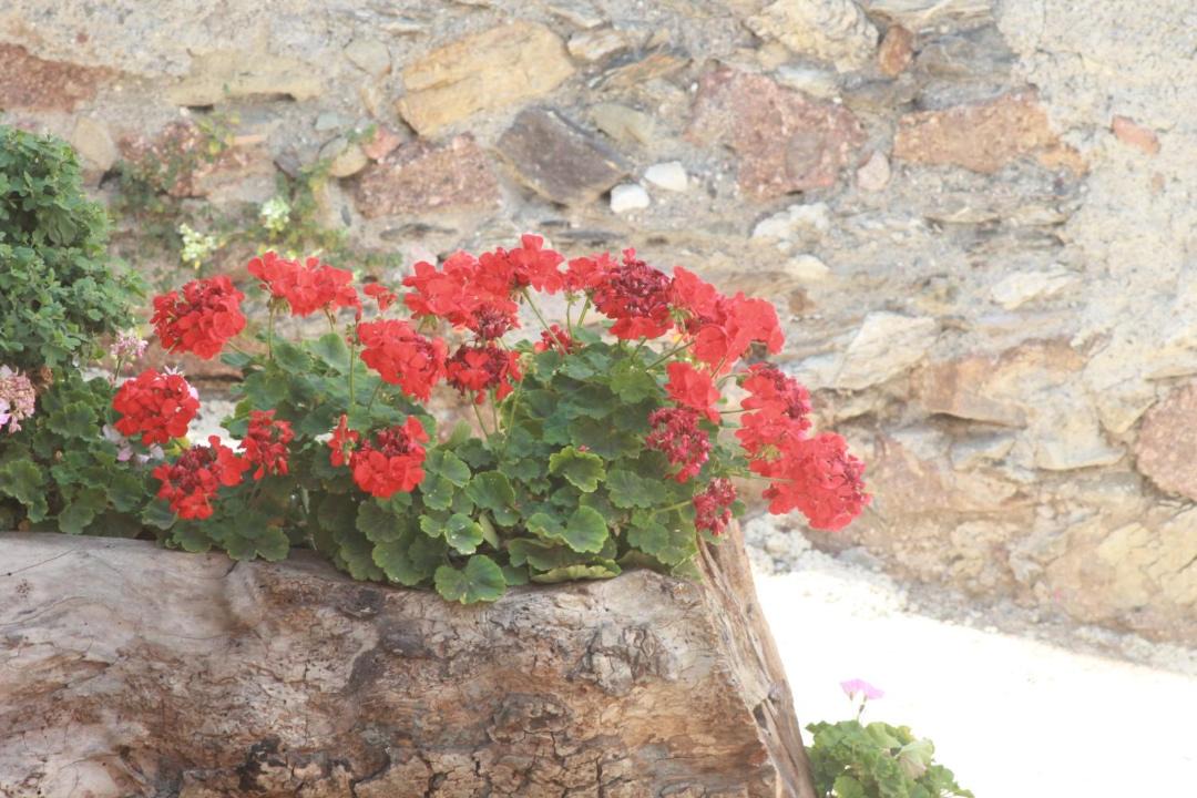 Photo of Others in Limina
