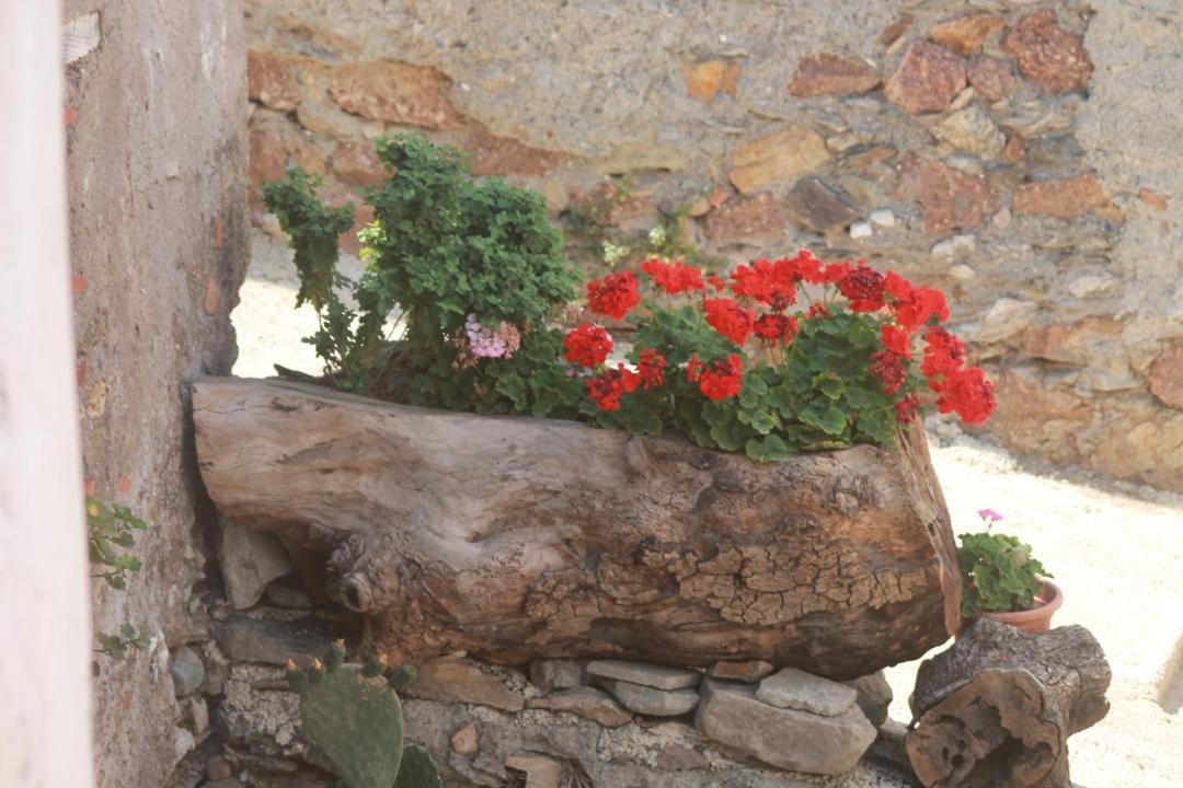 Photo of Others in Limina