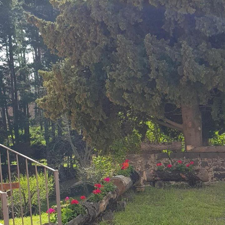 Photo of Outdoor in Castiglione di Sicilia