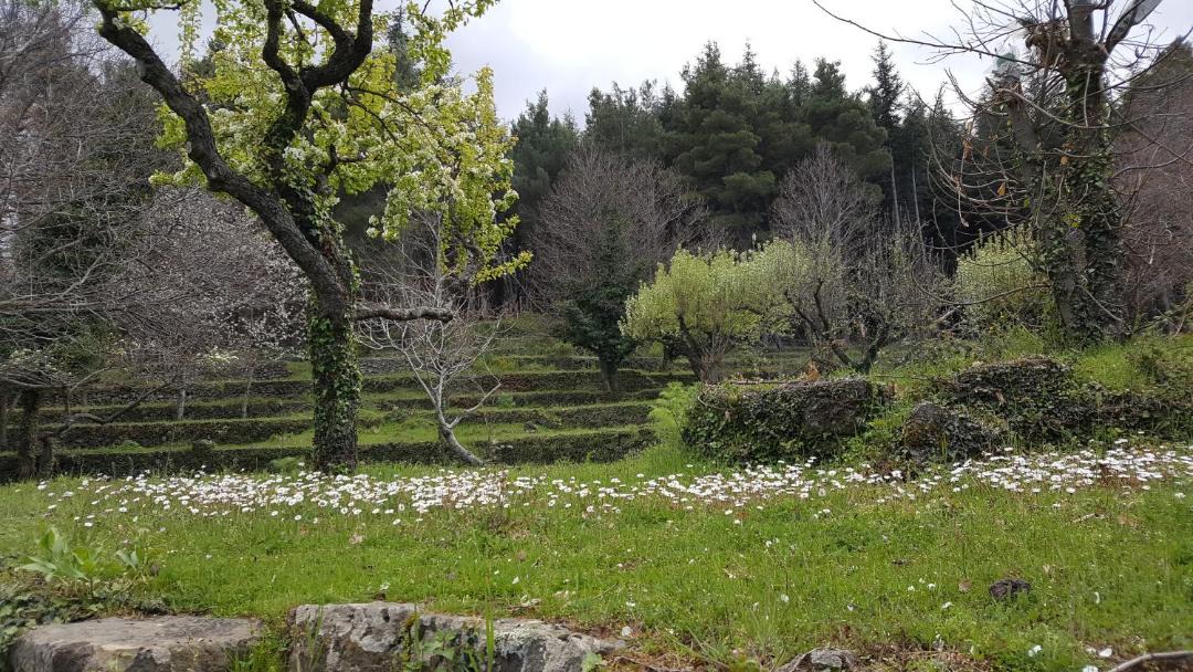 Photo of Outdoor in Castiglione di Sicilia
