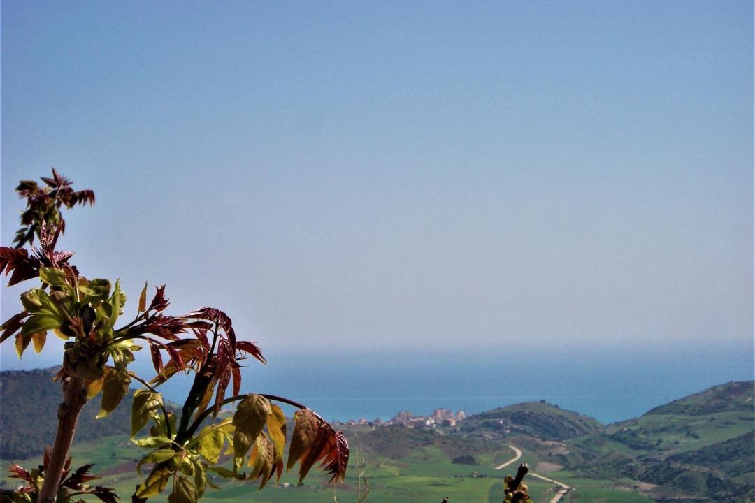 Photo of Others in Agrigento