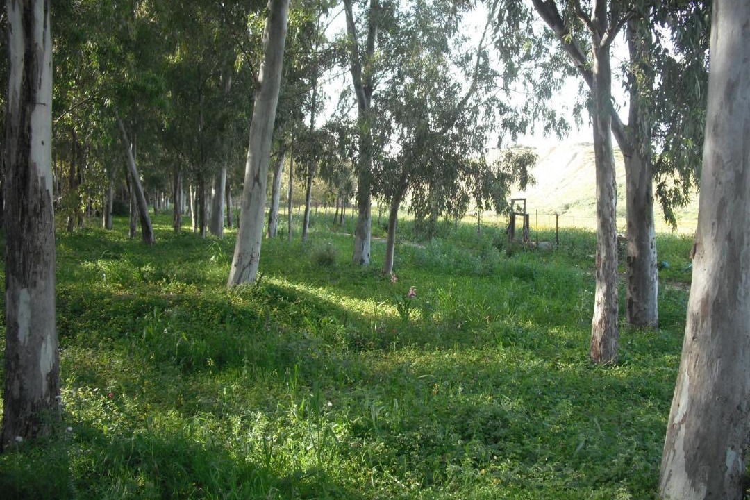 Photo of Others in Montallegro