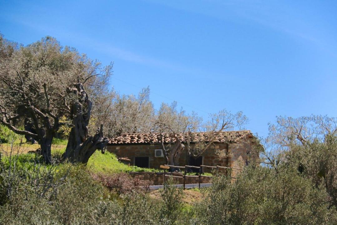 Photo of Others in Pettineo