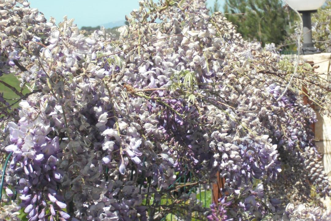 Photo of Outdoor in Montallegro