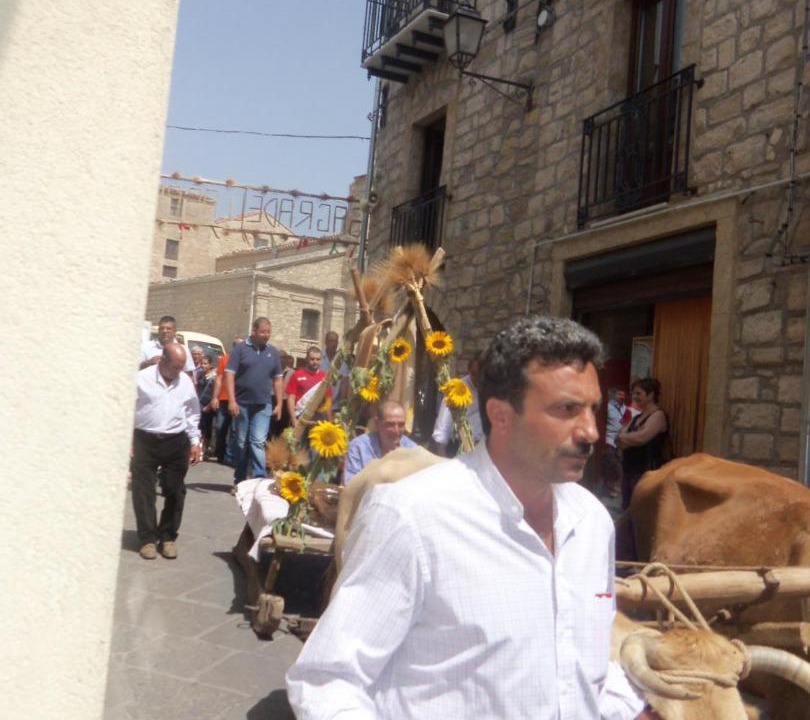 Photo of Others in Gangi