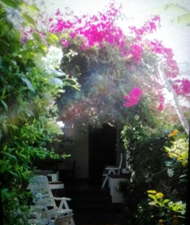 Photo of Others in Vulcano Porto