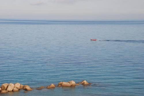 Photo of Others in Acquarone