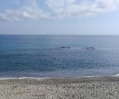 Photo of Others in Acquarone