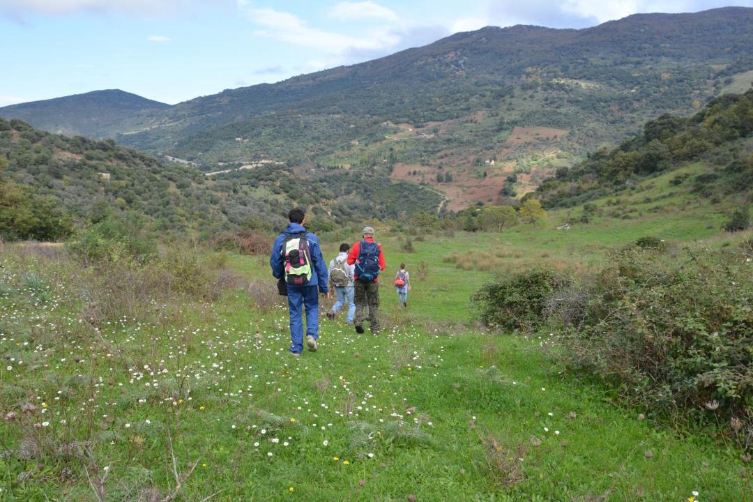 Photo of Others in Mistretta