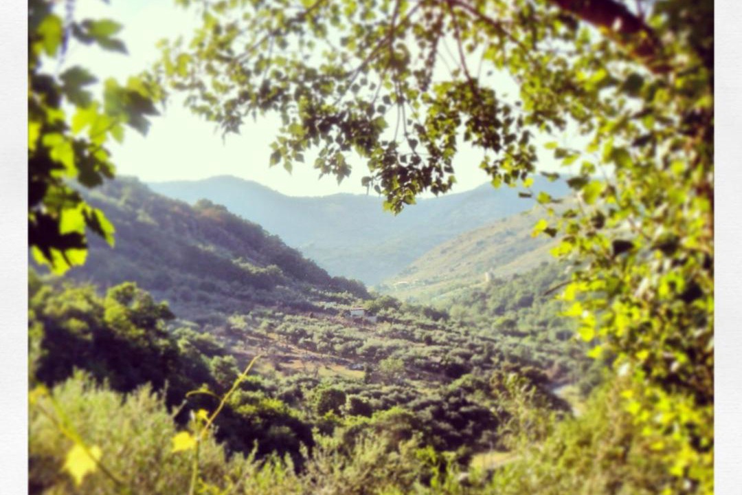 Photo of Others in Santa Cristina Gela