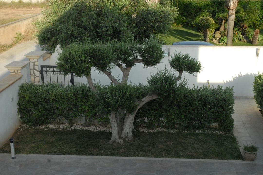 Photo of Others in Mazara del Vallo