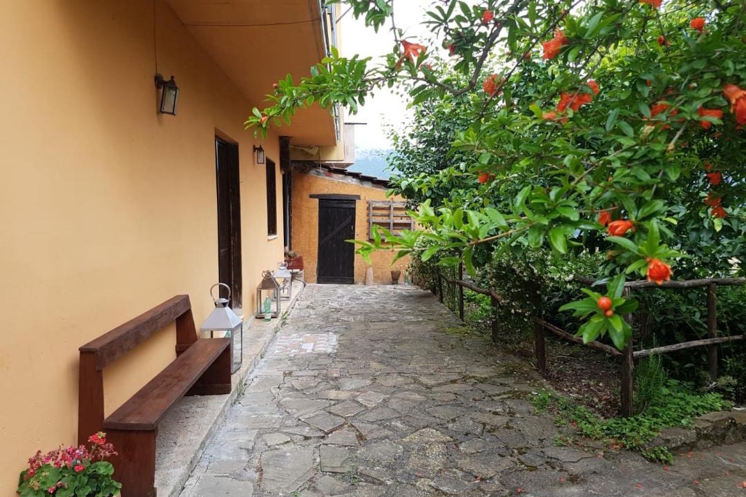 Photo of Others in Pedali