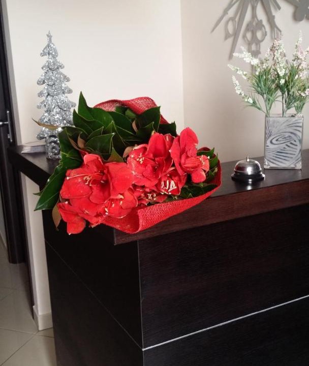 Photo of Livingroom in Capo d'Orlando