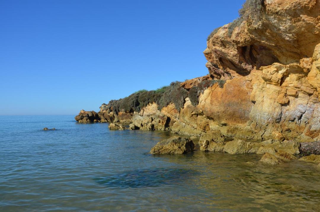 Photo of Others in Punta Braccetto