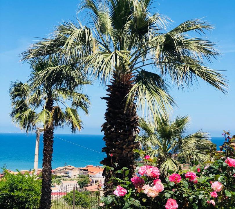 Photo of Outdoor in Alcamo Marina