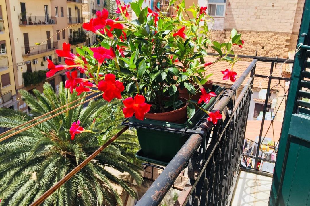 Photo of Others in Palermo