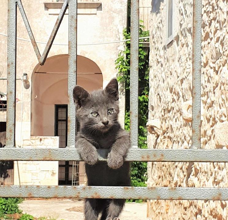 Photo of Others in Modica