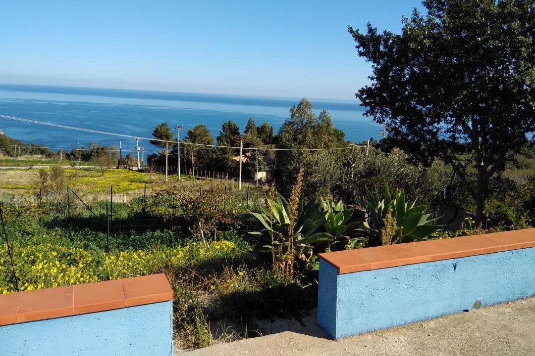 Photo of Others in Scopello