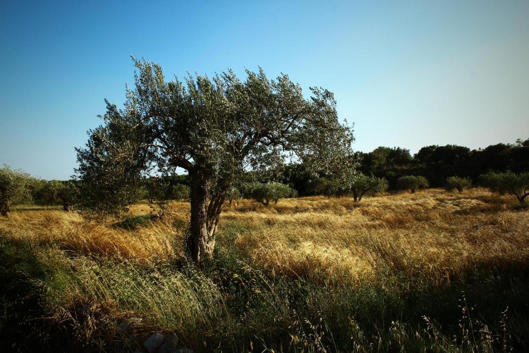 Photo of Outdoor in Ragusa