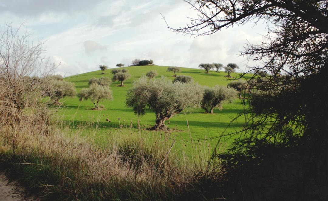 Photo of Outdoor in Ragusa