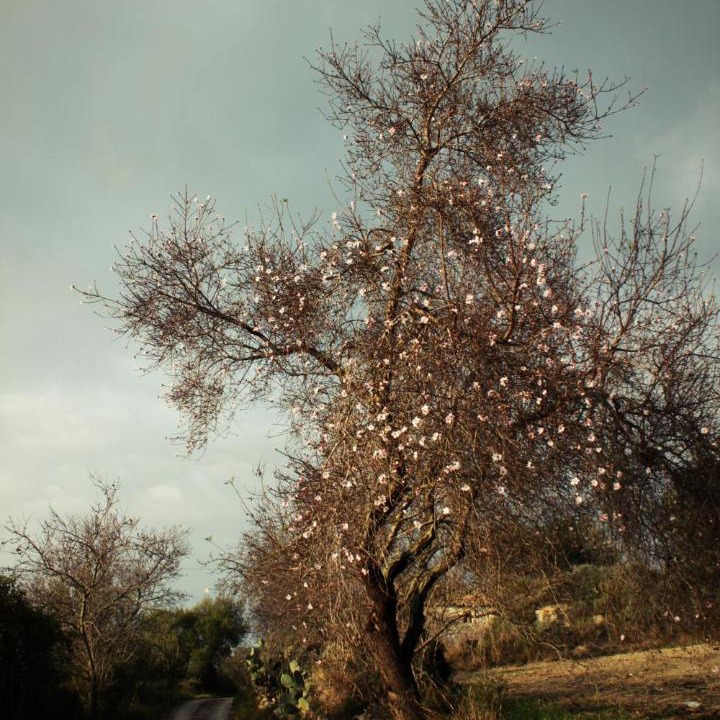 Photo of Outdoor in Ragusa