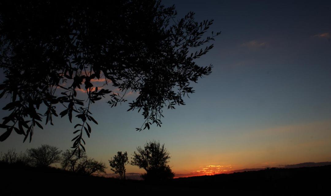 Photo of Outdoor in Ragusa