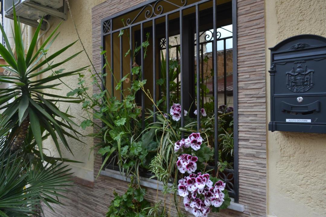 Photo of Others in Bolognetta
